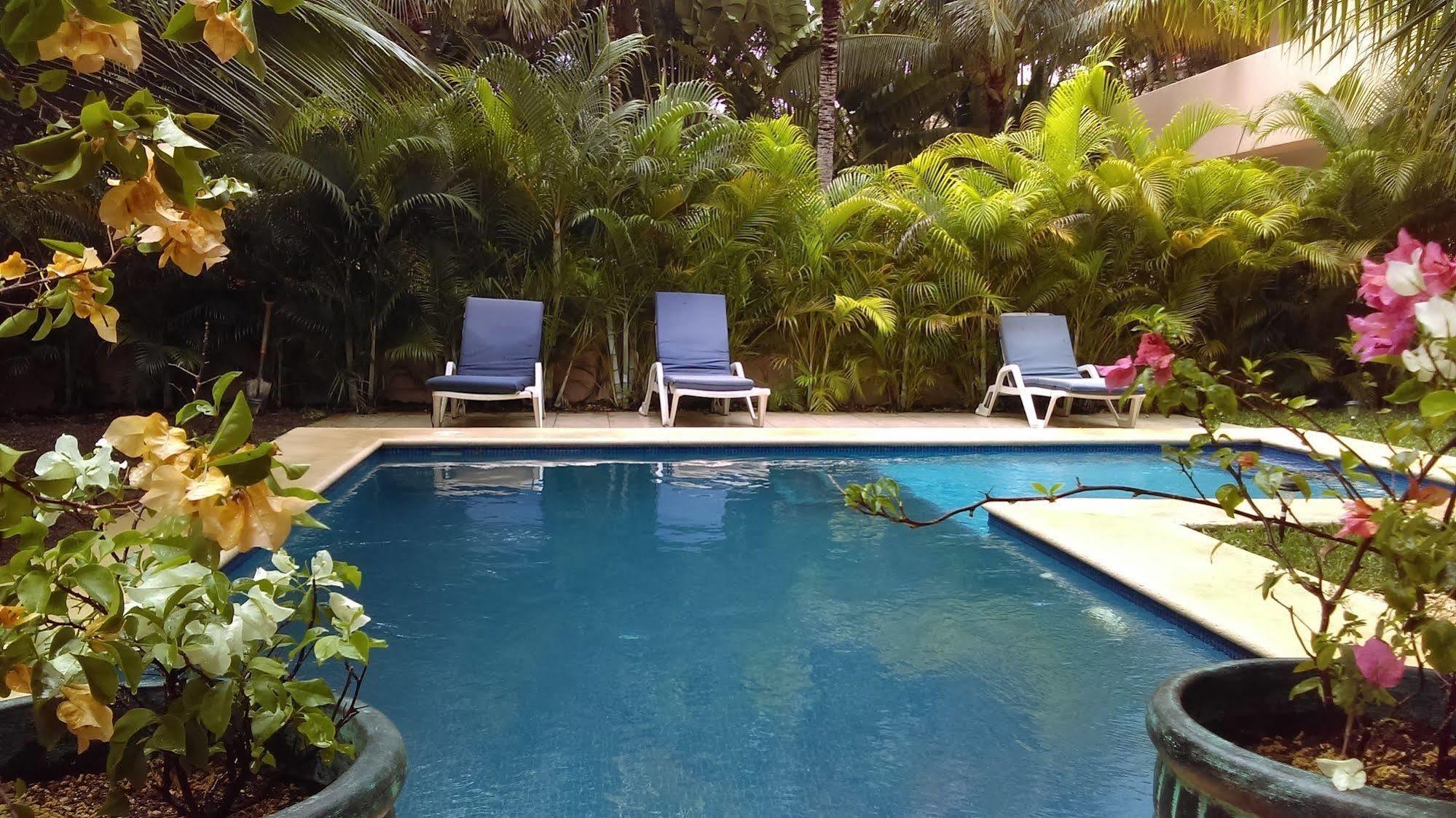 Villas Picalu Lodge Puerto Aventuras Eksteriør billede