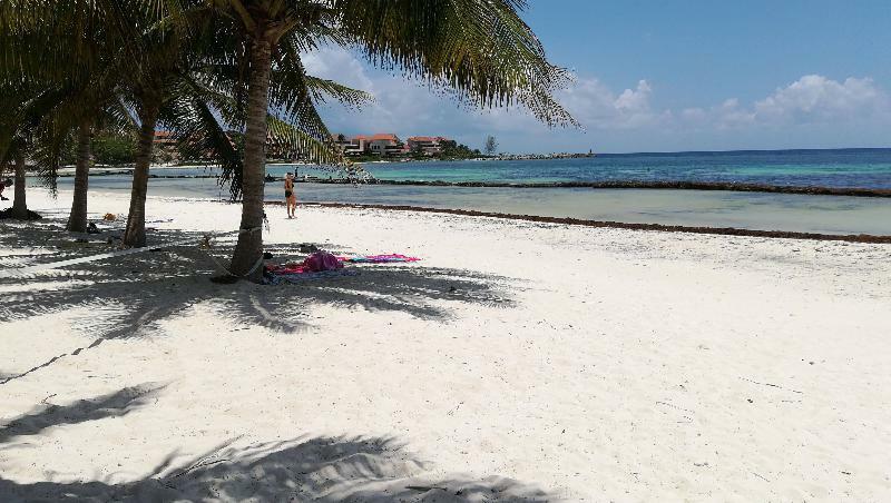 Villas Picalu Lodge Puerto Aventuras Eksteriør billede